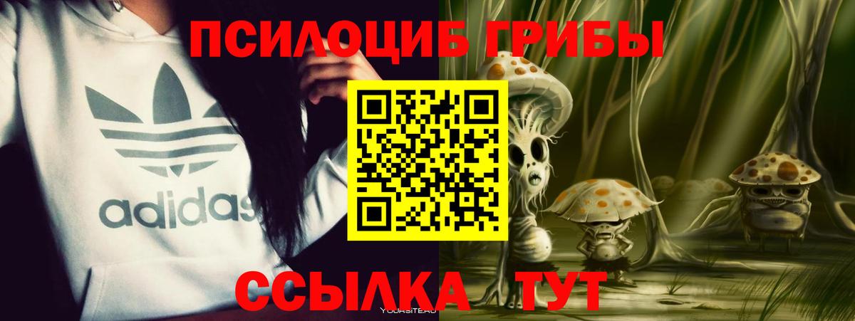 Галлюциногенные грибы Psilocybine cubensis  Псилоцибиновые грибы GOLDEN TEACHER  Вход с VPN  Кинешма 